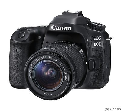 Canon: EOS 80D camera