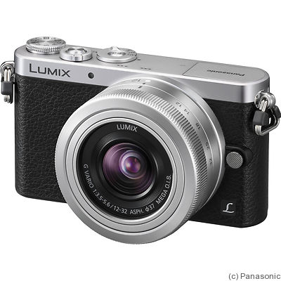 Panasonic: Lumix DMC-GM1 camera