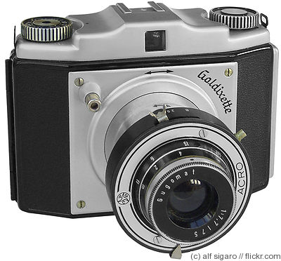 Goldammer: Goldixette camera