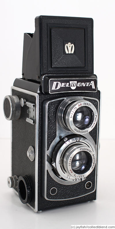 Montanus (Potthoff): Delmonta camera