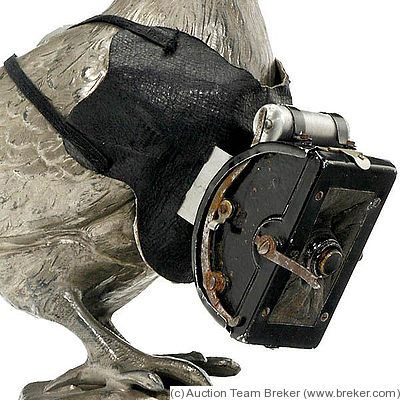 Neubronner Julius: Brieftaubenkamera (Pigeon camera) camera